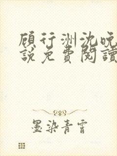 顾行洲沈晚宁小说免费阅读最新章节封面