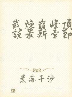 武炼巅峰顶点小说最新章节封面