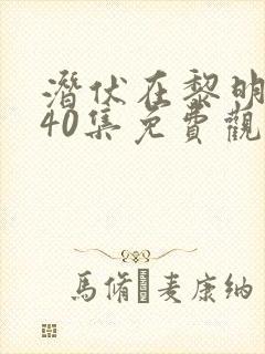 潜伏在黎明之前40集免费观看封面