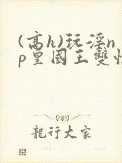 (高h)玩淫np皇国王双性