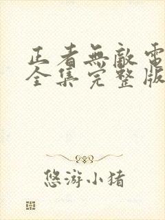 正者无敌电视剧全集完整版免费观看