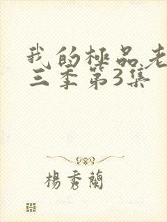 我的极品老婆第三季第3集