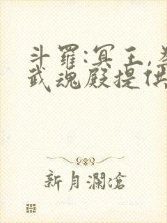 斗罗:冥王,为武魂殿提供神级武魂