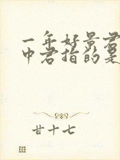 一年好景君须记中君指的是封面