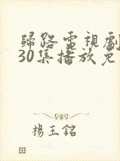 归路电视剧全集30集播放免费观看