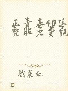 正青春40集完整版免费观看