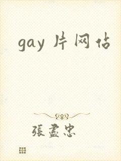 gay 片网站