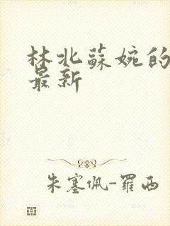 林北苏婉的小说最新