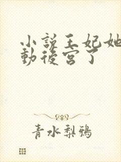 小说王妃她又轰动后宫了封面