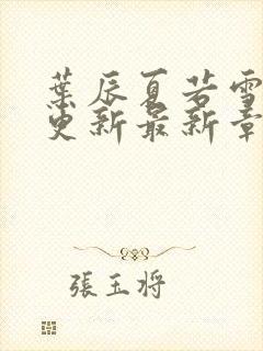 叶辰夏若雪孙怡更新最新章节