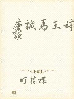 唐诚马玉婷的小说封面