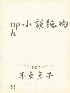 np小说纯肉高h