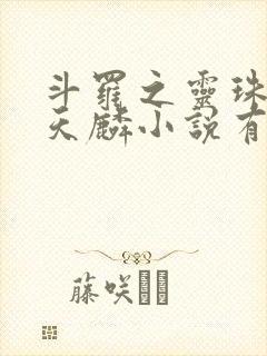 斗罗之灵珠神剑天麟小说有声听书免费封面