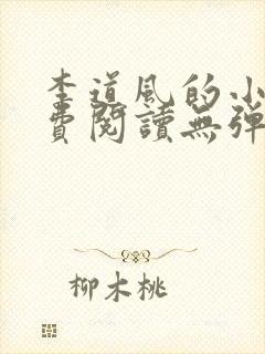 李道风的小说免费阅读无弹窗