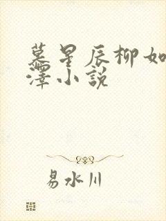 慕星辰柳如烟陈泽小说