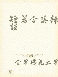 短篇合集辣文小说