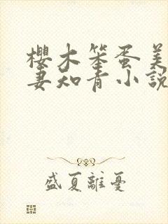 樱木笨蛋美人宠妻知青小说的小说