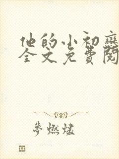 他的小初恋小说全文免费阅读