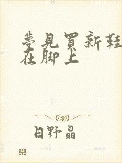 梦见买新鞋子穿在脚上