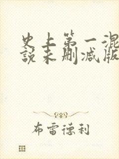 史上第一混乱小说未删减版