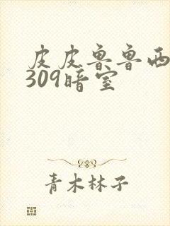 皮皮鲁鲁西西之309暗室