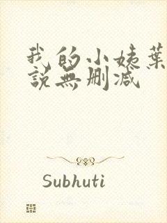 我的小姨叶凡小说无删减