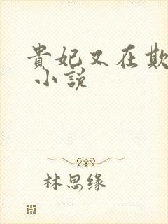 贵妃又在欺负人 小说