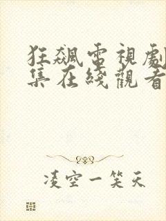 狂飙电视剧40集在线观看免费资源