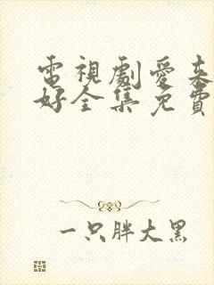 电视剧爱来的刚好全集免费观看