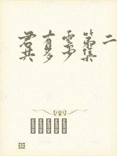 君有云第二季一共多少集