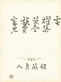 家族荣耀电视剧免费全集