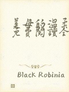 美母的温柔小说免费阅读全文笔趣阁封面