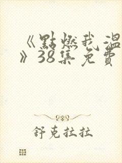 《点燃我温暖你》38集免费观看