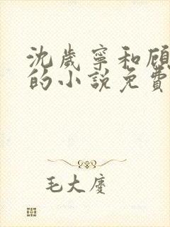 沈岁宁和顾聿礼的小说免费阅读