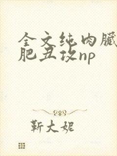 全文纯肉脏欲老肥丑攻np