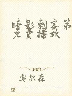 暗影刺客第6季免费播放