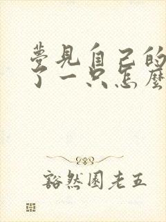 梦见自己的鞋丢了一只怎么也找不到封面