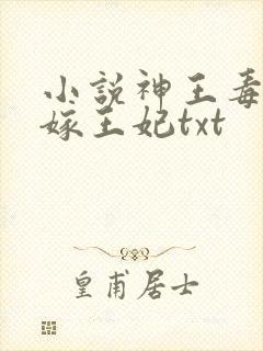 小说神王毒宠二嫁王妃txt