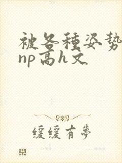 被各种姿势玩弄np高h文