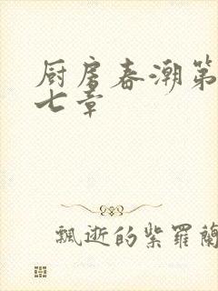 厨房春潮第三十七章