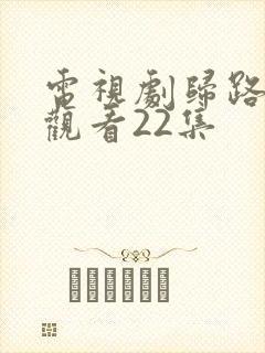 电视剧归路在线观看22集