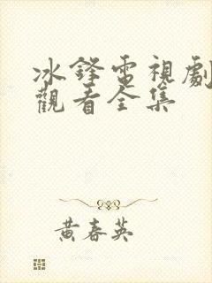 冰锋电视剧免费观看全集