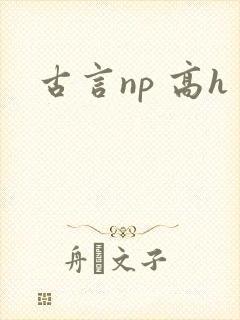 古言np 高h封面