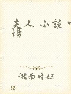 夫人 小说 官场封面