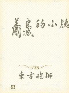 善良的小胰子无删减封面