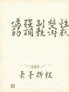 伪强制双性美人的调教游戏