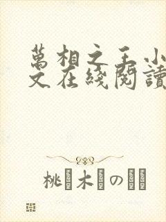 万相之王小说全文在线阅读