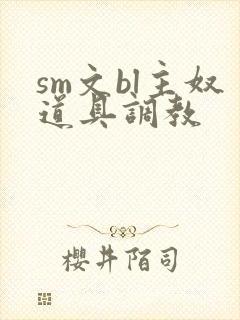 sm文bl主奴道具调教