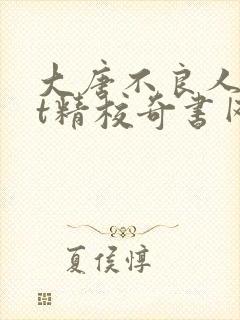 大唐不良人txt精校奇书网
