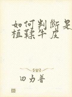 如何判断是不是植鞣牛皮